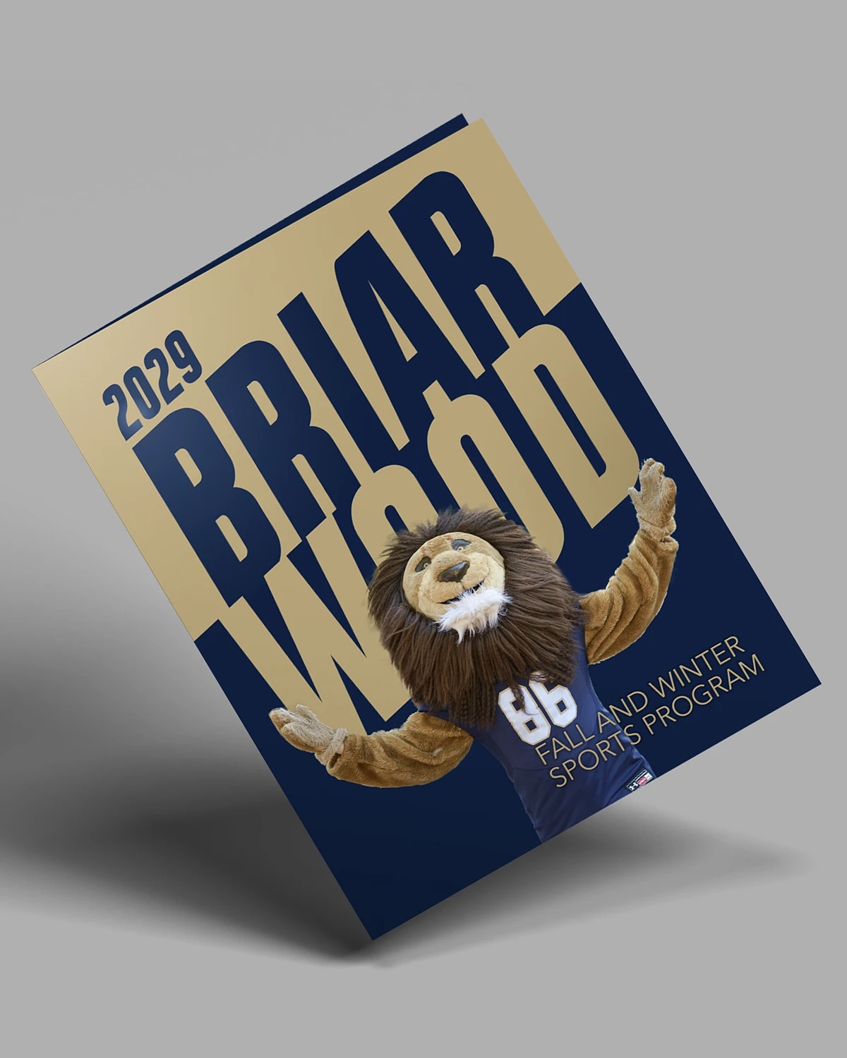 Media guide